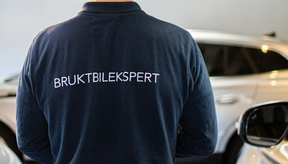 Bruktbilselger