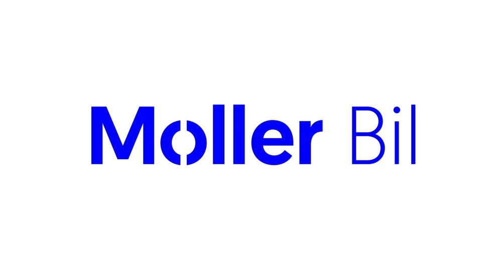 Bruktbilselger